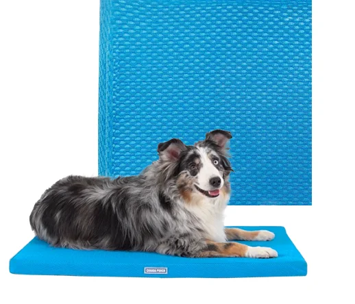 - Indoor pet toy recommendations- Indoor pet toy recommendationsCanada Pooch Chill Out Cooling Mat