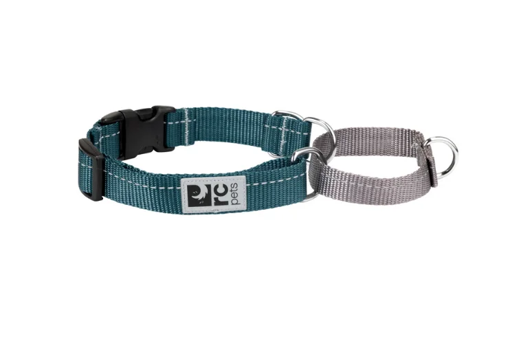 - Cat toy rankings- Cat toy rankingsRC Pet Primary Web Training Clip Collar Dark Teal