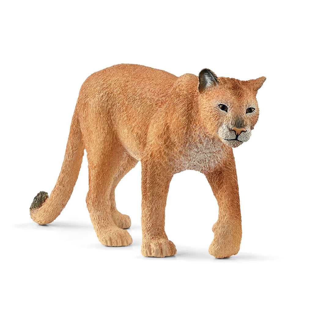 Pet ProductsPet ProductsSchleich cougar