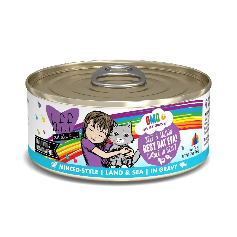    - Kitten food  Weruva BFF Oh My Gravy Best Day Eva Grain Free Beef & Salmon in Gravy Canned Cat Food